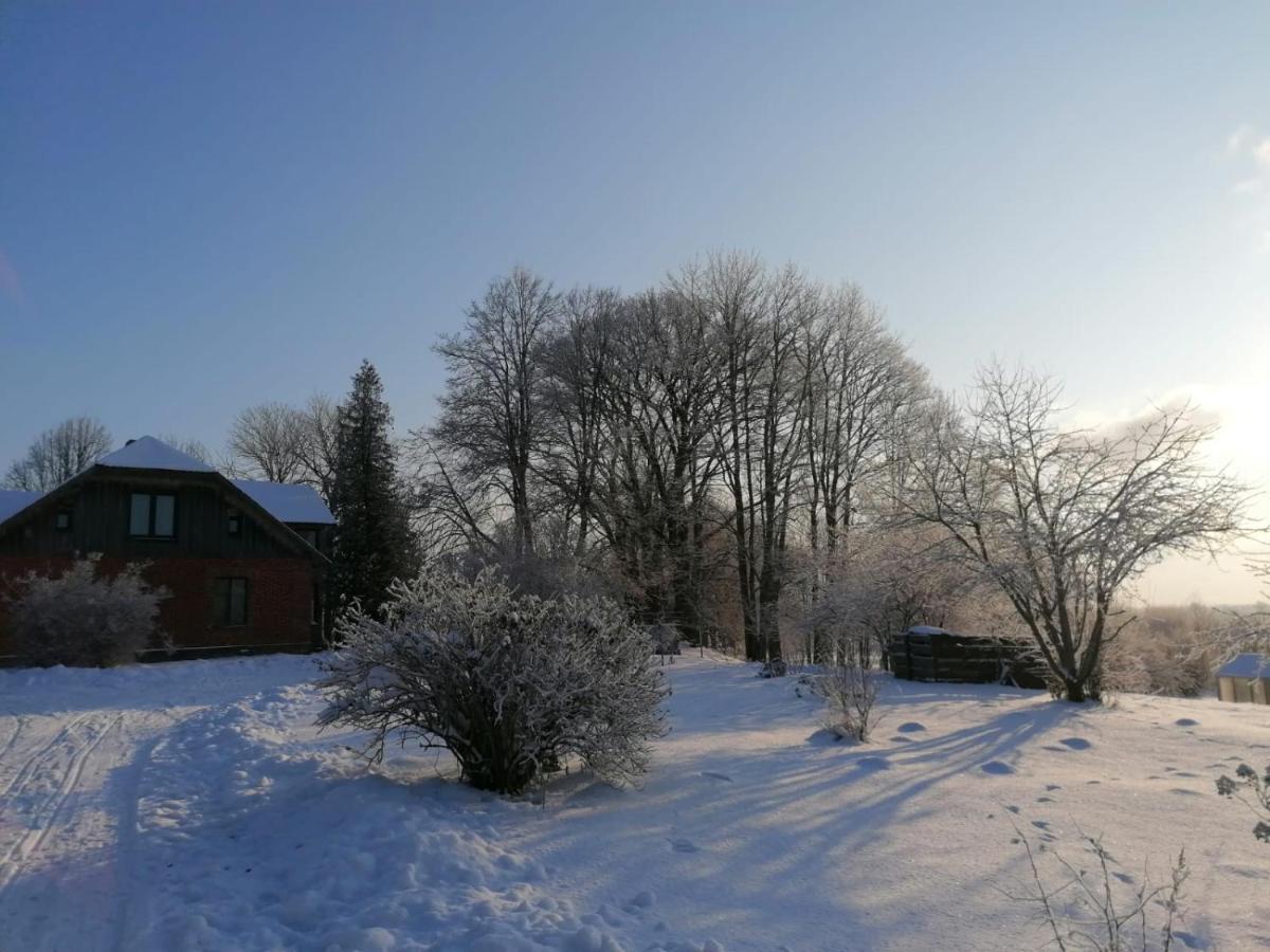 Country House Podini Leilighet Mālpils Eksteriør bilde