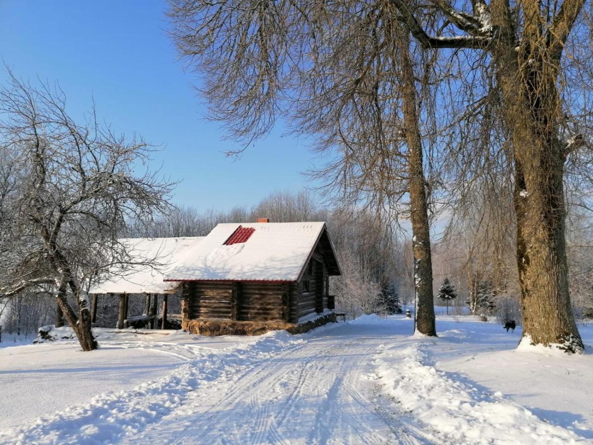 Country House Podini Leilighet Mālpils Eksteriør bilde